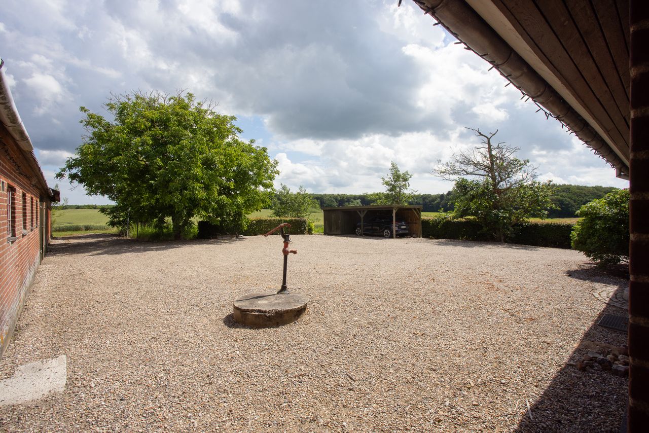 image 04