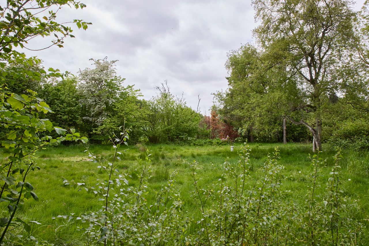 image 02
