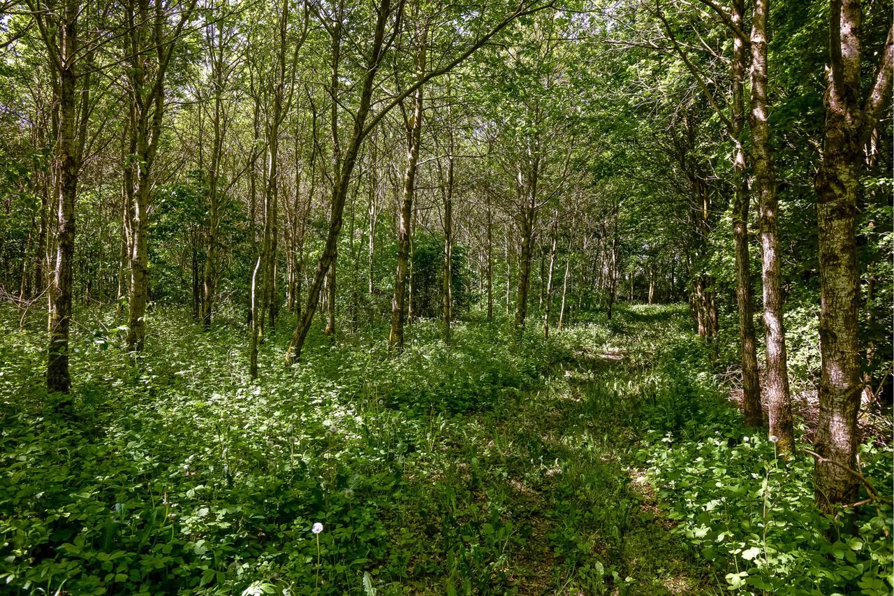image 03