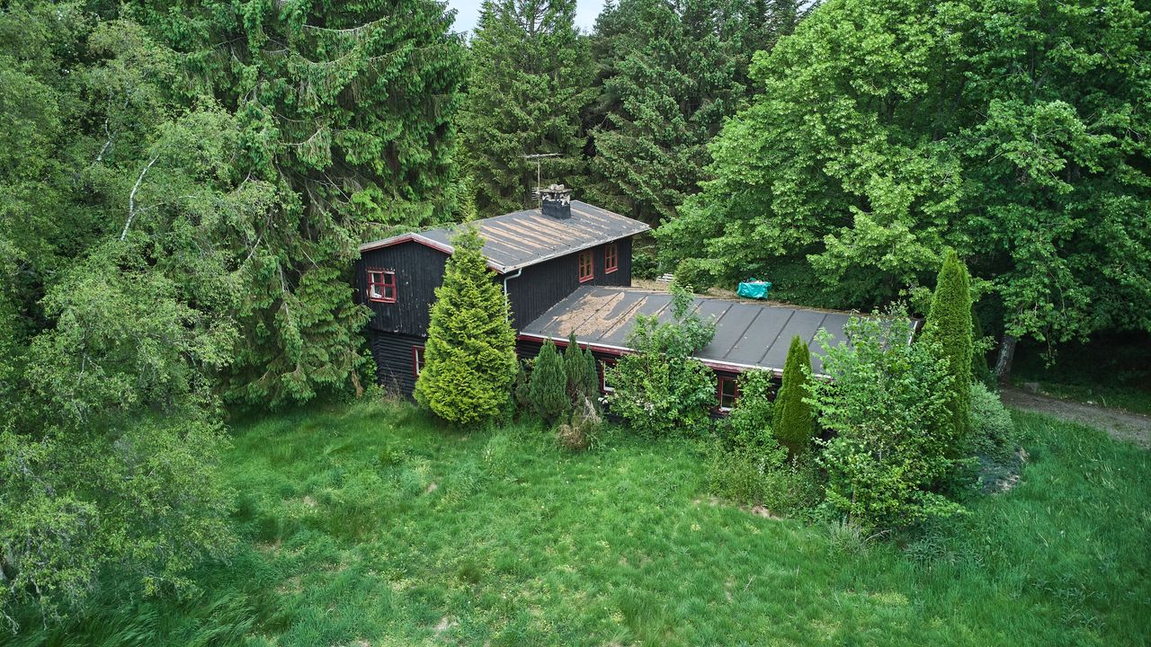 image 04