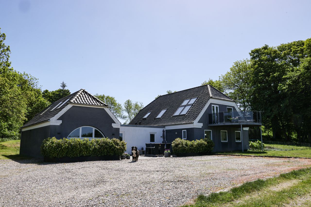 image 04