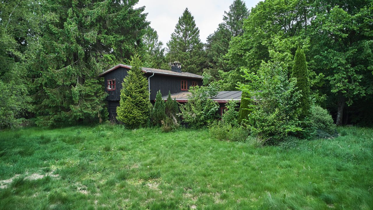 image 01