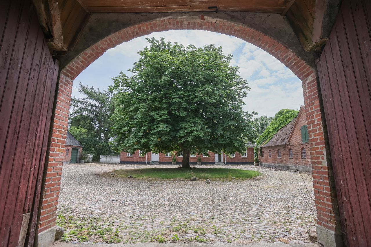 image 01